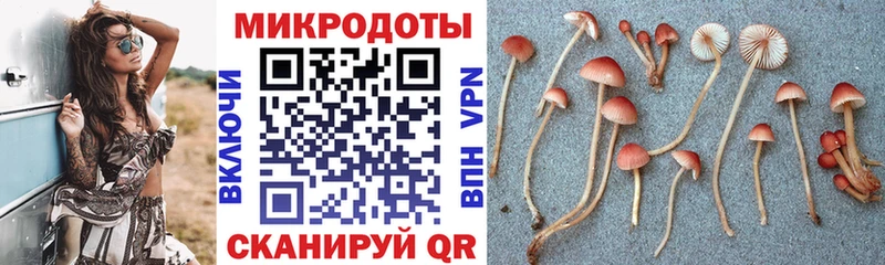 Купить  Чердынь  Галлюциногенные грибы ЛСД 